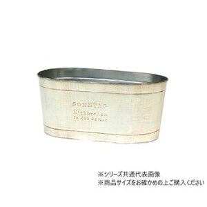 �勴�V�����X �]���^�[�N �z���C�gD5W 31-115�y���[�J�[�����F��������s�F�����s�z�y�k�C���E����E�����͔z�B�s�z