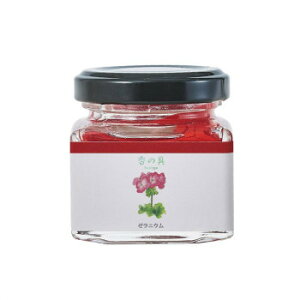 ���̋� �r�^�C�v ����(RE) �[���j�E�� 35ml kano-011�y���[�J�[�����F��������s�F�����s�z�y�k�C���E����E�����͔z�B�s�z