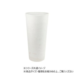 SK�~���g�[�� ML ��24×H51�@3d00075ML�y���[�J�[�����F��������s�F�����s�z�y�k�C���E����E�����͔z�B�s�z