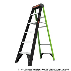 Little Giant FRP�r�� �G�[�t�H�[�X250 LG-15764 10837�y���[�J�[�����F��������s�F�����s�z�y�k�C���E����E�����͔z�B�s�z