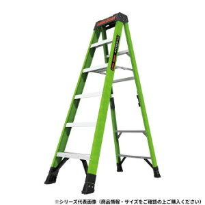 Little Giant FRP�r�� �G�[�t�H�[�X300 LG-15794 10839�y���[�J�[�����F��������s�F�����s�z�y�k�C���E����E�����͔z�B�s�z