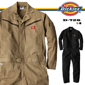 fBbL[Y Dickies Xgb`cC Ȃ D-726 [DICKIES ciM [NEFA  ʔN ƕ ƒ  n jp jZbNX]