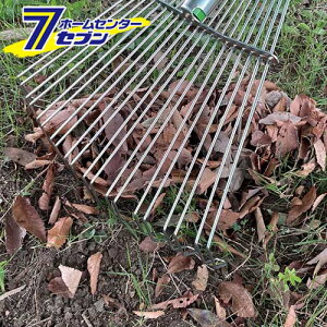 y|Cg5{zY LkU^K[fC  SGR-14 [| | N}f]y|CgUP:2025N111410:00`1116 23:59܂Łz