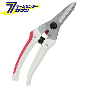 Y K[fؙ TbN SGP-44 [|  ]