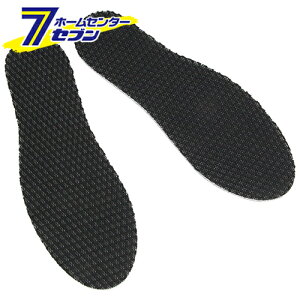 Y LC\[ SNI-DRY24-29 [[NT|[g T|[gpi C\[]