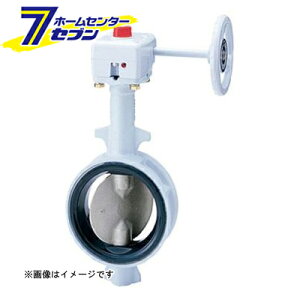 G-10DJU FCD/SCS�o�^�فi�M�A���ENBR�E���h�]��/�F��i�j 80A �iG-10DJU�V���E�{�E_80A�j [ �L�b�c]