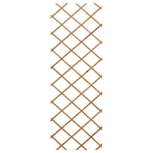 yzsbXz ^JV[ TAKASHO WT-618C ؐ LkgX Jg[Ebh 60×180cm gX