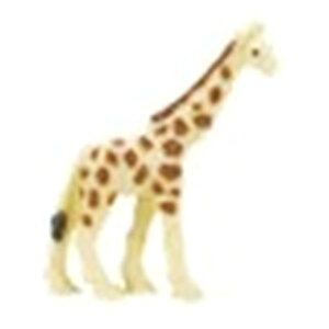 y󂠂z ObgbN~j L tBMA I[ig IuWF