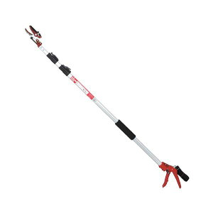 y󂠂z yzsbXz Y g ͙OiLk} SGLP-1