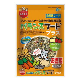 ミニマルフード 小動物 バランスフード プラス お徳用 800g マルカン ML-04 リス ハムスター 主食 エサ
