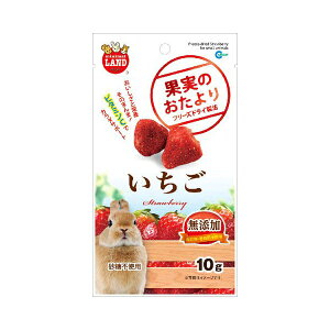 ~j}h ʎ̂  10g }J ML-84    t[YhC sgp r^~C Y