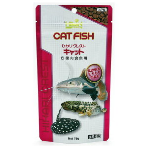 L[ Ђ NXg Lbg 75g  h{ oX  ͂