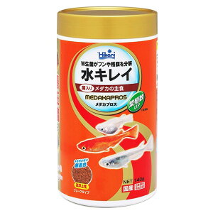 L[ Ђ LC _JvX 140g H t[h GT  㐫 Y t[N^Cv F