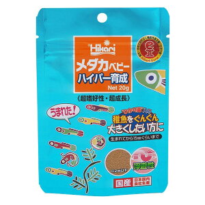 L[ Ђ _Jxr[ nCp[琬 20g t[h GT  t V Y