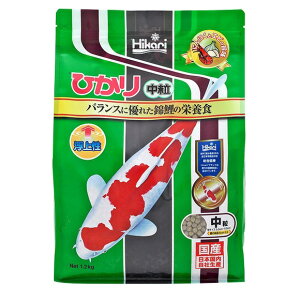 L[ Ђ  1.2kg ь h{ oX t[h nD