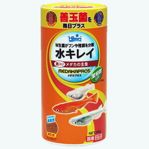 L[ Ђ LC _JvX 48g H t[h GT  㐫 Y t[N^Cv F