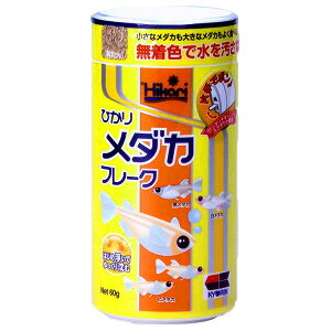 L[ Ђ _J t[N 60g Hׂ₷ ^b` A N