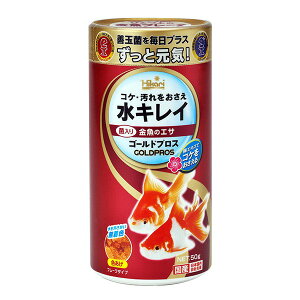 L[ Ђ S[hvX 50g F  GT t[h F Y t[N^Cv F