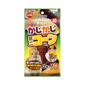 ミニマルランド かじかじミニコーン 2本+おまけミニミニサイズ1本 マルカン MR-785 うさぎ ハムスター モルモット リス チンチラ 小動物 おやつ