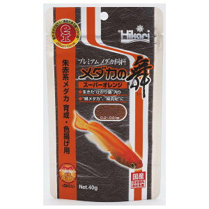 L[ Ђ _J̕ X[p[IW 40g t[h Ԍn_J kM Fg GT   Y