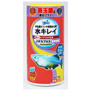 L[ Ђ LC _JvX YɐB 48g H t[h GT 㐫 Y t[N^Cv F