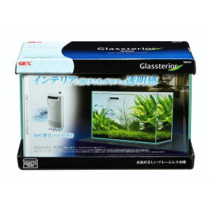 y󂠂zyzsbXzWFbNX OXeA TCg 360 X  ANAE CeA t[X KX