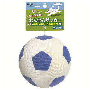 TbJ[ u[ X[p[Lbg p  {[ ebNX 