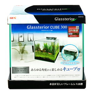 y󂠂zyzsbXzWFbNX OXeAL[u 300 Zbg t[X