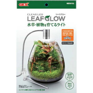 y󂠂zWFbNX NALED [tO[ pi Ɩ Cg