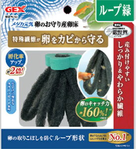 y󂠂zWFbNX _JC ̂Y[v 