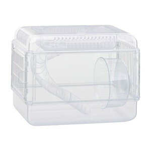 NAtg30 NX^ GEX nX^[ P[W nEX KX zC[t