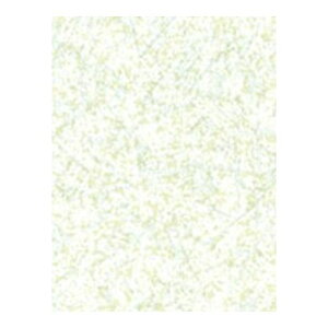 yzsbXz NgN vg P-22 WFCh 4mm 2'x8' NgN}[PeBO F4X^[ ύ ǖʍ iJbgj