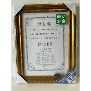 賞状額 金 樹脂製 B5 安井商店 額縁 フレーム ゴールド