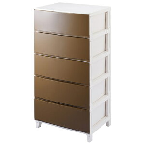 yzsbXz TJ [XVF[h Ch 5i `FXg uE  [{bNX [P[X ^X o g RSD-S545BR