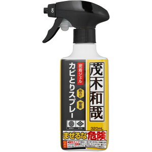 bN Ζؘa JrƂWFXv[ 320ml C00404 N[i[ r ^C hJr  |pi