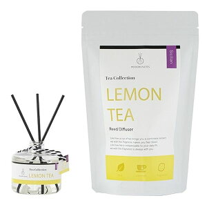 y󂠂z XeLC^[iVi eB[RNV eB[ [hfBt[U[