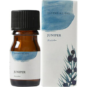 GbZVIC W Wjp[ 5ml A}IC A} ̖