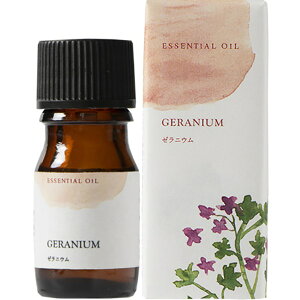 GbZVIC W [jE 5ml A}IC A} ̖