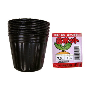 nӑ c|bg 10 a7.5cm 6.5cm ܂p ||bg c|bg