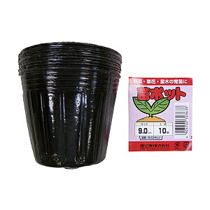 nӑ c|bg 10 a9.0cm 7.6cm ܂p ||bg