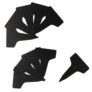 Y ZteB-3 K[fx Y^10  |px K[fjO A^O Ax t[x l[v[g