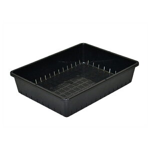 yzsbXz AbvEFA[ cRei[ 12^ ubN  apple ƒ؉ ^l܂E؁Ep