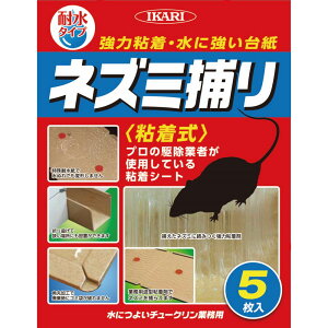 ɂ悢`[N 5  CJ ϐ lY~߂V[g SV[g lY~쏜 l ߊl Qb΍