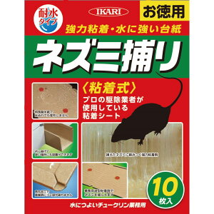 ɂ悢`[N 10  CJ ϐ lY~߂V[g SV[g lY~쏜 l ߊl Qb΍