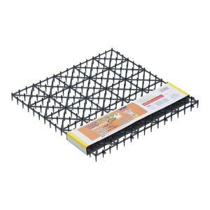 ˂ubN L 621 Rcw L L  L悯 L΍