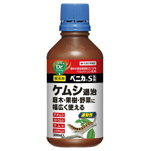 ZFw| xjJS  300ml E PVގ Q쏜  ʎ  | ƒ؉ K[fjO _