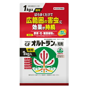 ZFw| GFIg  1kg E Q쏜   ϗtA Ő Zڍs ƒ뉀|p ƒ؉ K[fjO _