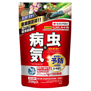 住友化学園芸 ベニカXガード 粒剤 250g 殺虫殺菌剤 花 野菜 虫&病気 粒タイプ 害虫駆除 病気予防 家庭園芸用 家庭菜園 ガーデニング 農薬