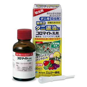 R}Cg 30ml GV[Ή _ E E_j n_j Q쏜 | ƒ؉ K[fjO