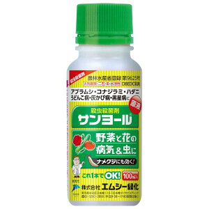 T[ 100ml GV[Ή _ Eۍ E Q쏜 | ƒ؉ K[fjO